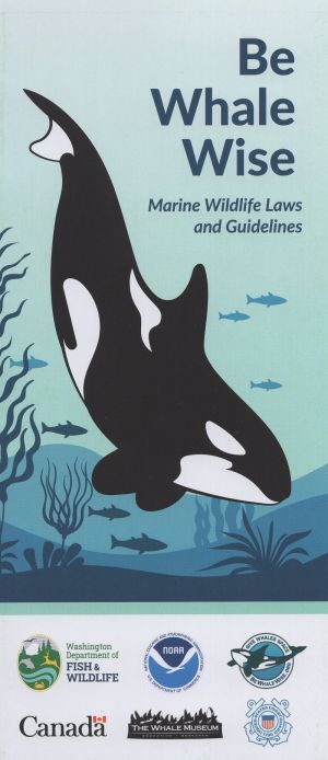 Be Whale Wise brochure thumbnail
