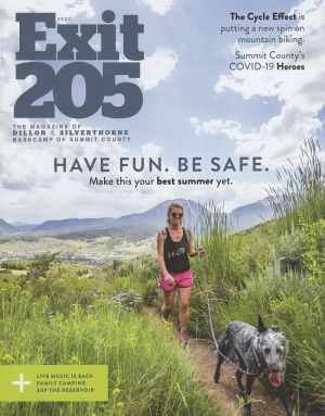 Dillon/Silverthorne OVG (Exit 205) brochure thumbnail