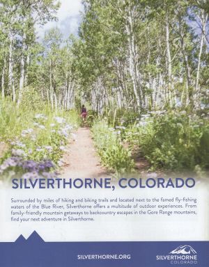 Dillon/Silverthorne OVG (Exit 205) brochure thumbnail