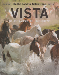 Vista Magazine