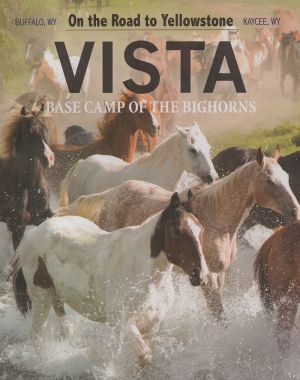 Vista Magazine brochure thumbnail