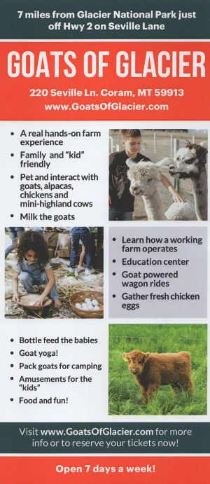 Goats of Glacier brochure thumbnail