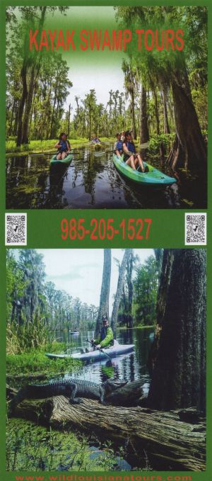 Wild Louisiana Tours brochure thumbnail