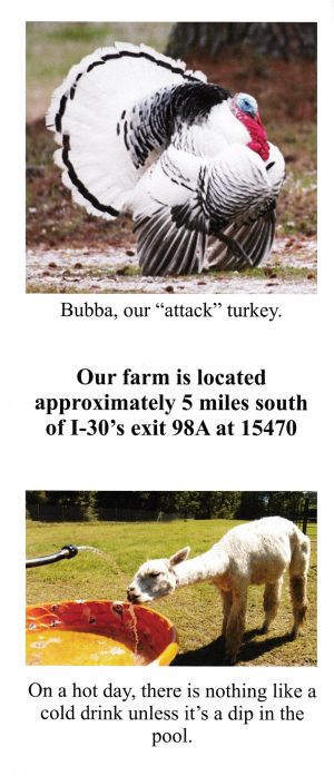 Chez Fur Fiber Farm brochure thumbnail
