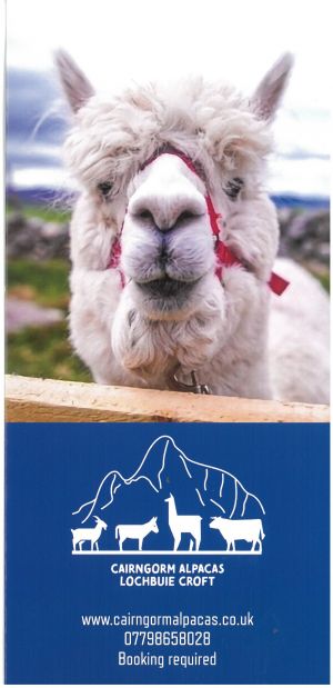 Cairngorm Alpacas brochure full size