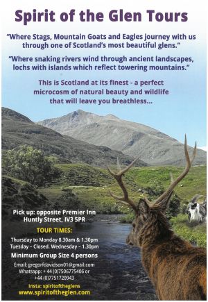 Spirit of the Glen Tours brochure thumbnail