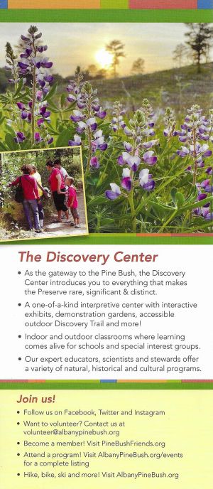 Albany Pine Bush Preserve brochure full size