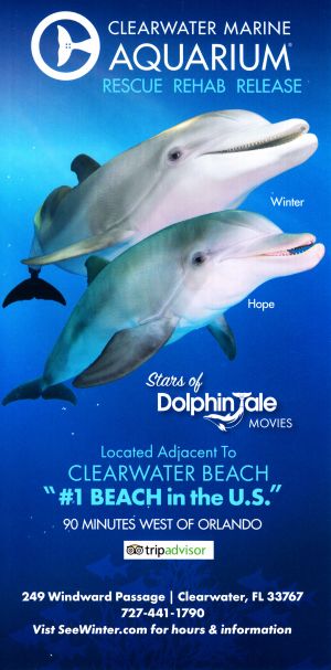 Clearwater Marine Aquarium brochure thumbnail
