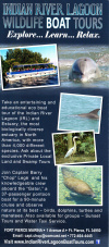 Indian River Lagoon Wildlife Boat Tours