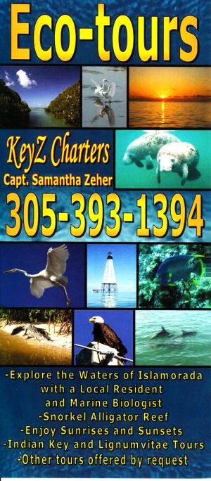 KeyZ Charters brochure thumbnail