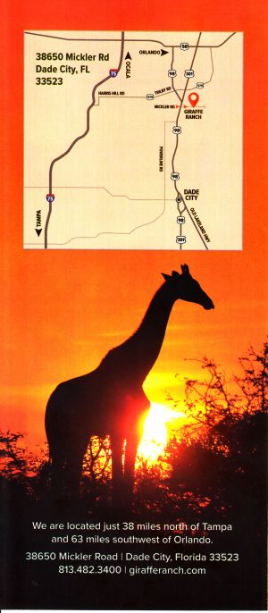 Giraffe Ranch brochure thumbnail